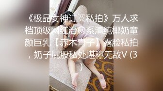 《极品女神订阅私拍》万人求档顶级网红治愈系清纯椰奶童颜巨乳【赤木青子】露脸私拍，奶子屁股私处堪称无敌V (3)