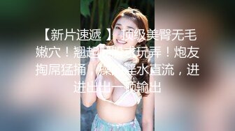 大象傳媒 AV0054 巨乳小三的計謀