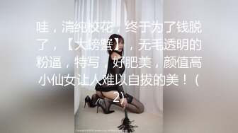 后入寂寞少妇，