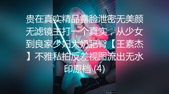 少女诱惑计划-游戏篇