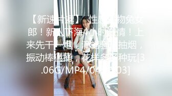 无法压抑内心性欲的人妻 水原さな 32岁 激情第二集 在孩子丈夫不在家期间，体验12根大肉棒的刺激