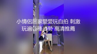 性感女神楊晨晨 輕透迷人的服飾與朦朧絲襪 彰顯出身材的完美絕倫