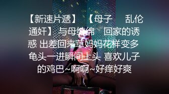 【AI换脸视频】李一桐  你的旗袍装小秘书