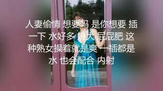 《极品CP魔手外购》牛逼坑神专搞气质小姐姐某美女如云场所女公厕全景偸拍数位靓妹方便逼脸同框有极品 (3)