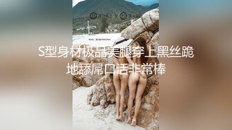 综合人妻久久一区二区精品