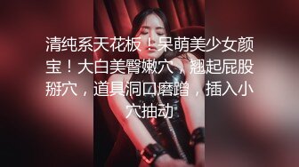 【新娘泄密】新娘定妆视频+性感婚纱照婚礼闹洞房趴趴视250P+51V