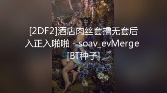 [2DF2]酒店肉丝套撸无套后入正入啪啪 - soav_evMerge [BT种子]