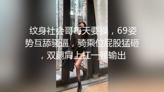 麻豆传媒联合爱豆最新出品-《野性欢愉》堵一丽人 顷刻交合 仙气女神穆雪 高清720P原版首