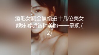 酒吧女厕全景偷拍十几位美女靓妹嘘嘘各种美鲍一一呈现 (2)