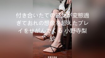 付き合いたての彼女が変態過ぎておれの想像を超えたプレイをせがんでくる 小野寺梨紗