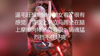 起点传媒 性视界传媒 XSJ007 睡美人 坏坏