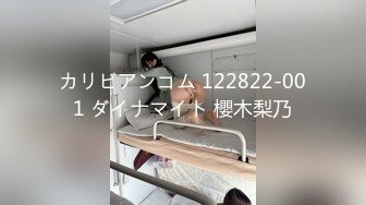 几年前的极品女友2