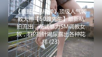 MSM-001 性愛對決修羅場 老婆与偷腥猫的双人争宠