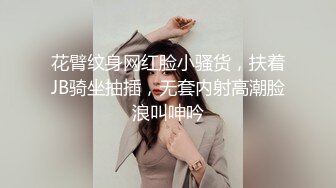 花臂纹身网红脸小骚货，扶着JB骑坐抽插，无套内射高潮脸浪叫呻吟