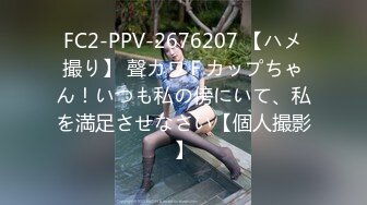 FC2-PPV-2676207 【ハメ撮り】 聲カワＦカップちゃん！いつも私の傍にいて、私を満足させなさい【個人撮影】