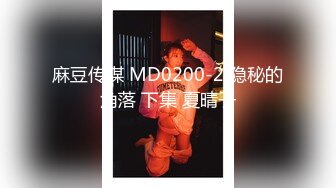 麻豆传媒 MD0200-2 隐秘的角落 下集 夏晴子