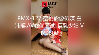 PMX-127 蜜桃影像传媒 白沛瑶.AV女优面试-巨乳少妇 VIP0600