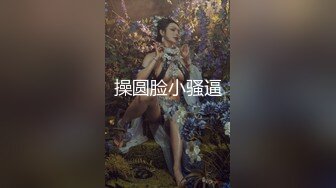 亚洲女孩与她的毛茸茸的猫擦公鸡，让他暨在内裤