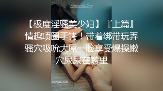 女仆装女奴的散鞭伺候