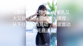 院子里操美臀小女友，跪在椅子翘臀求操，第一视角，圆润美臀，大屌插入猛干，骑乘上下深插