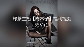 绿茶主播【肉木子】福利视频55V (1)