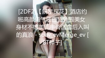 [2DF2]【新星探花】酒店约啪高颜值气质白貂外围美女 身材不错美乳丰臀适合后入叫的真浪 - soav_evMerge_ev [BT种子]