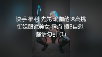 和黑丝情趣内衣的姐姐的激情口交