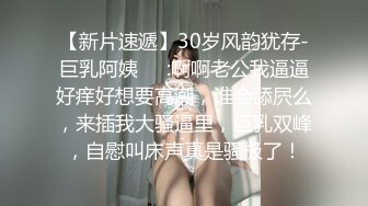 (哈尔滨）帝都17先生后入小母狗