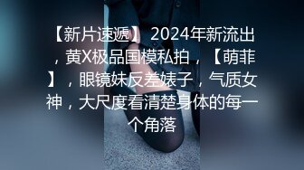 十二月最新流出厕拍大神暗夜出品奶茶店员工女厕偷拍两个漂亮肉丝美女