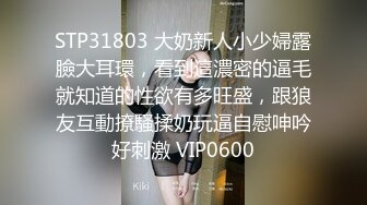 (麻豆傳媒)(mfk-0028)(20231110)家政婦之莫非定律