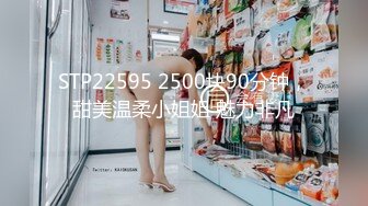 STP22595 2500块90分钟，甜美温柔小姐姐 魅力非凡