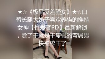 ❤️❤️顶级职业航模完美身材 性感丁字裤 逼毛稀疏吃鸡骑乘巨根后入无套啪啪内射~流白浆淫水湿了一地 (3)