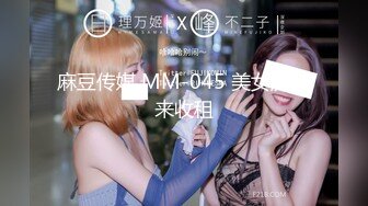 麻豆传媒 MM-045 美女房东来收租