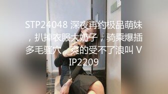 【自整理】P站amandarabbitxxx  车震 双飞 公共卫生间做爱 和情人在一起的各种性福  最新大合集【NV】 (38)