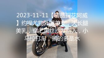 2023-11-11【精品探花阿威】约操尤物外围美女，大长腿美乳，穿上黑丝沙发后入，小马拉打车，搞的多是水